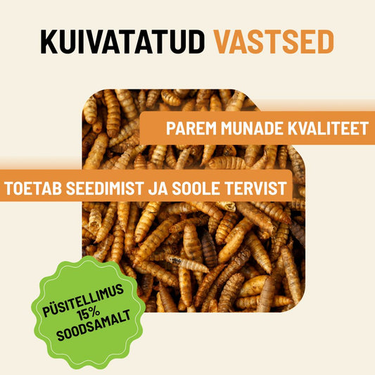 Kuivatatud Musta Sõdurikärbse Vastsed